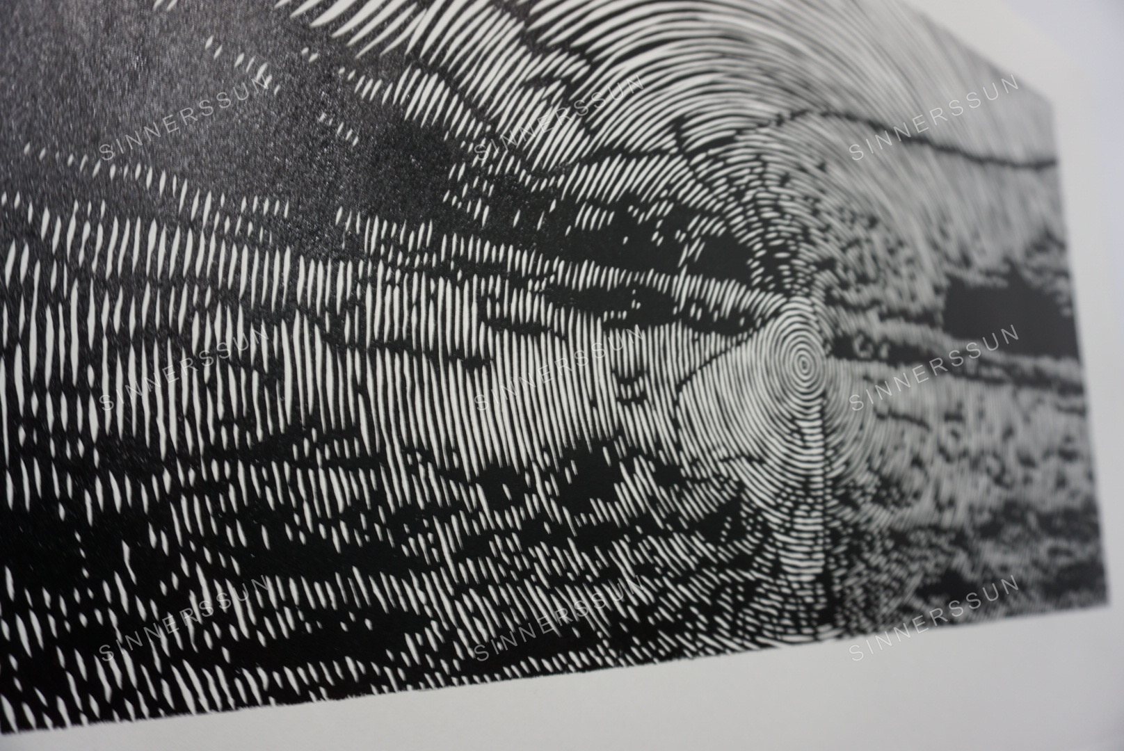 Anomalia 1 2 Detail